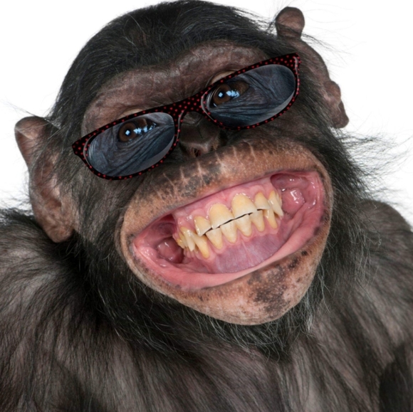 Meet your Posher, Anthony - Picture 1 of 2